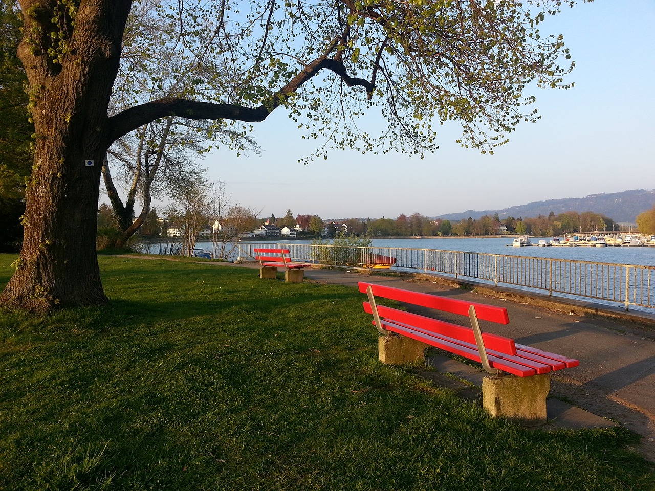 域的严密监 域的严密监