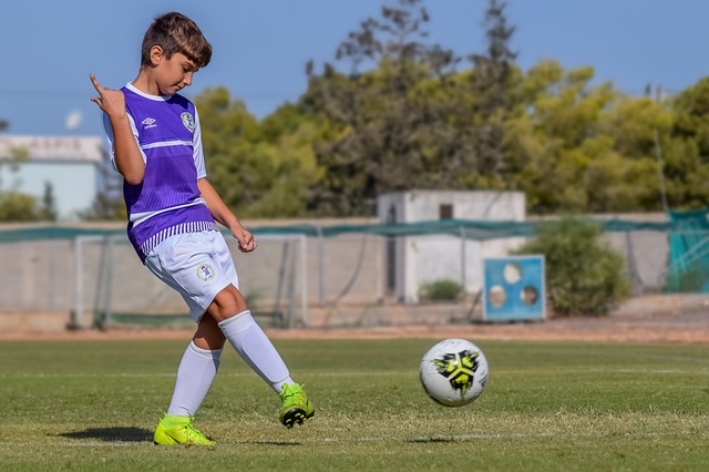 的整体水平 的整体水平