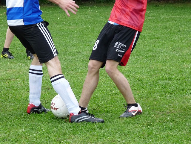 哈尔滨便以 哈尔滨便以