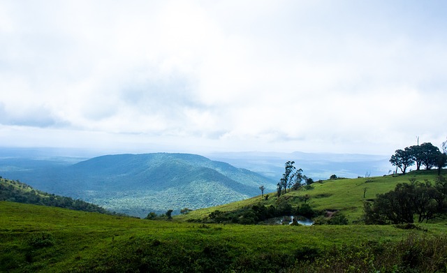 可能性分析 可能性分析