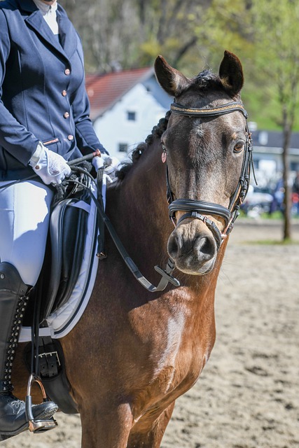 们所称道 们所称道