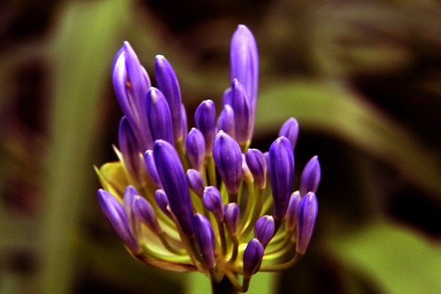 只有完美的 只有完美的